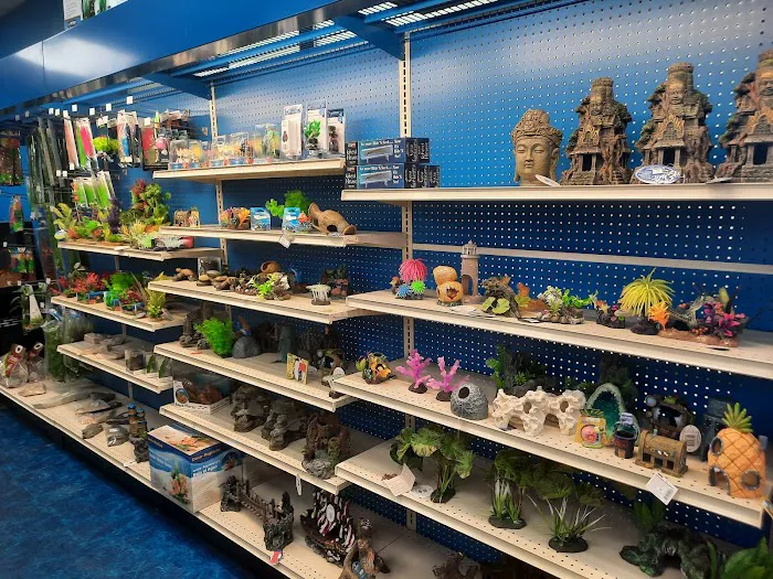 Pet Supermarket Picture 3