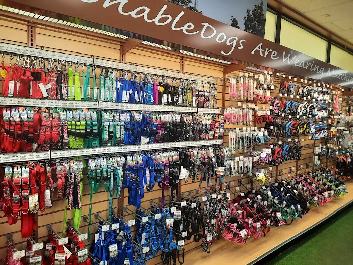 Pet Supermarket Picture 6