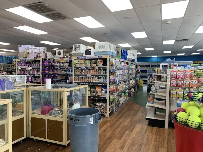 Pet Supermarket Picture 9