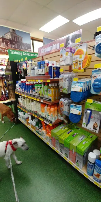 Pet Supermarket Picture 8