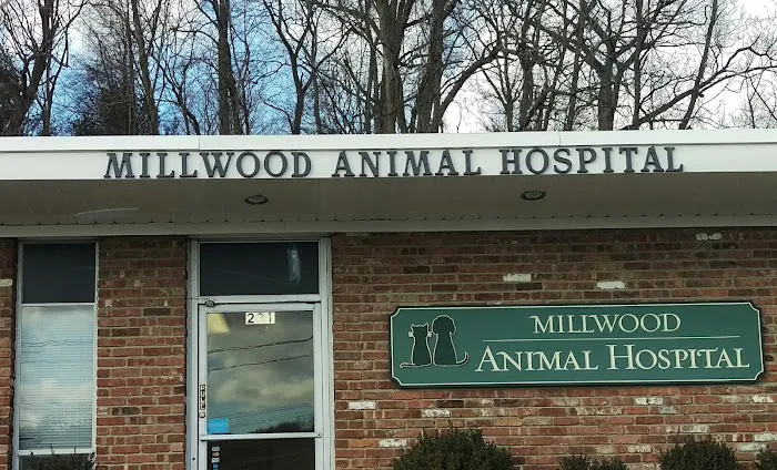 Millwood Animal Hospital Picture 7