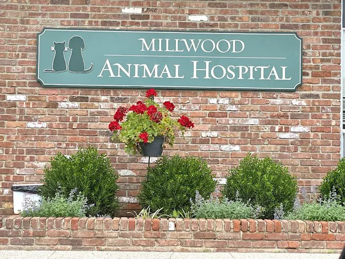 Millwood Animal Hospital Picture 4