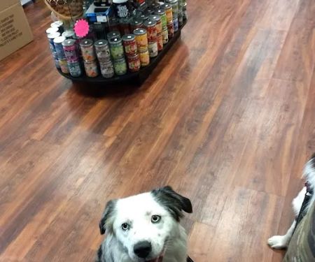 Naturally Unleashed Pet Nutrition Center