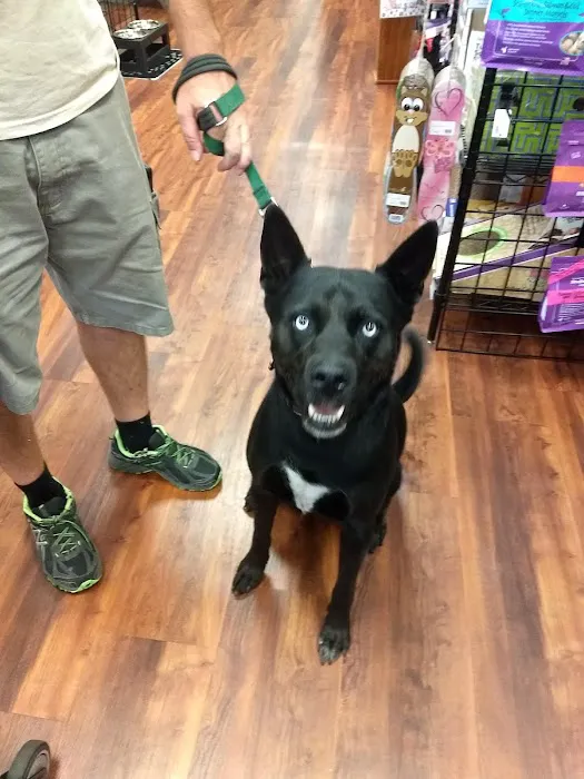 Naturally Unleashed Pet Nutrition Center Picture 5