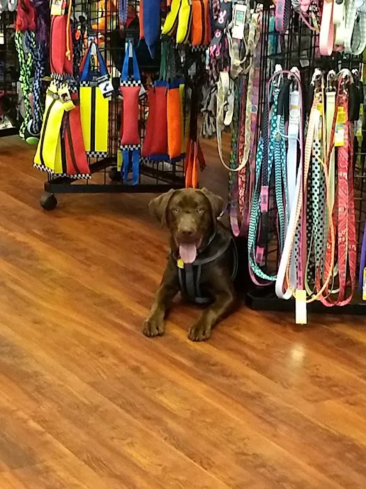 Naturally Unleashed Pet Nutrition Center Picture 10