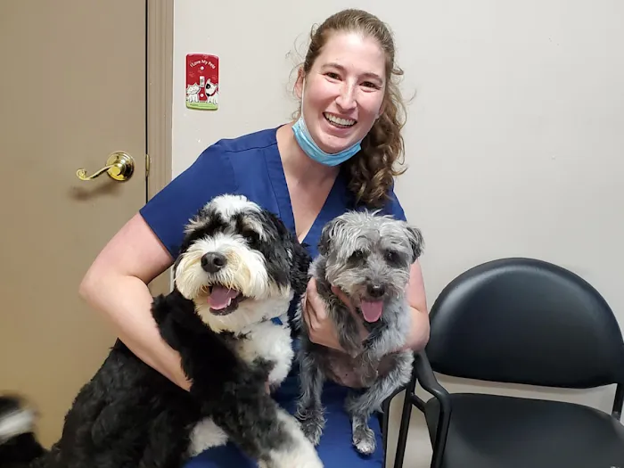 A.C.E. Veterinary Hospital Picture 3