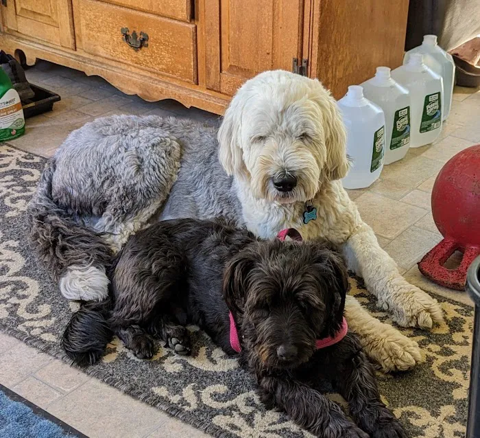 A.C.E. Veterinary Hospital Picture 8