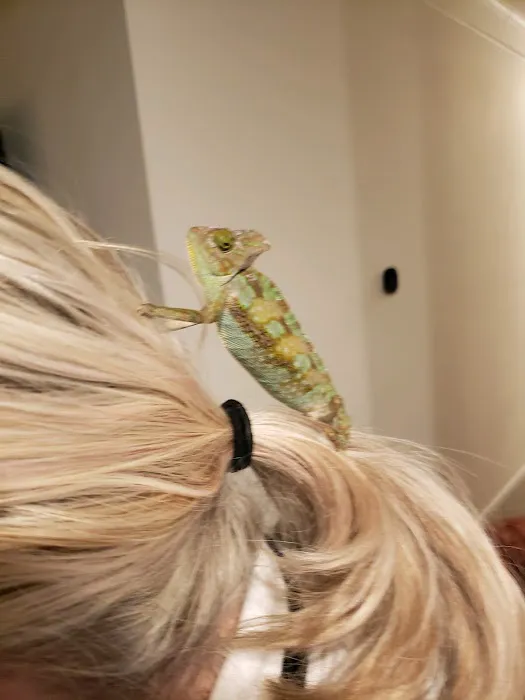Charmin's Pet Store LLC Picture 1