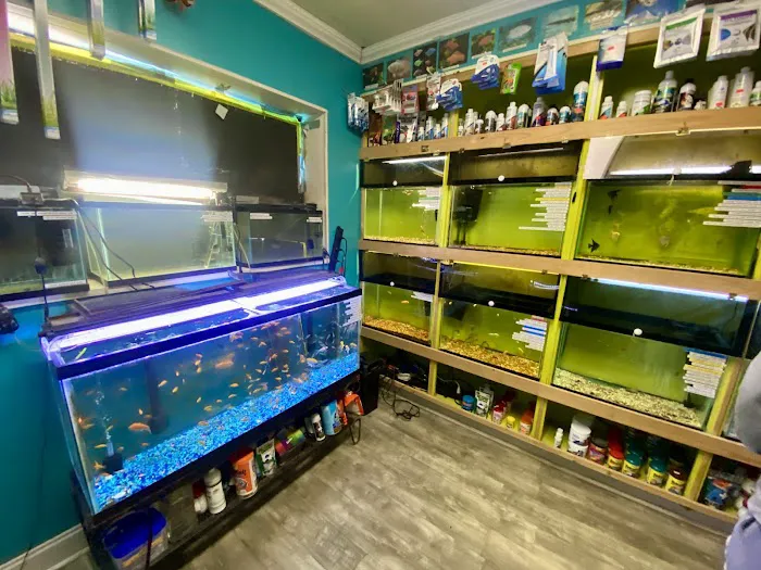 Charmin's Pet Store LLC Picture 4