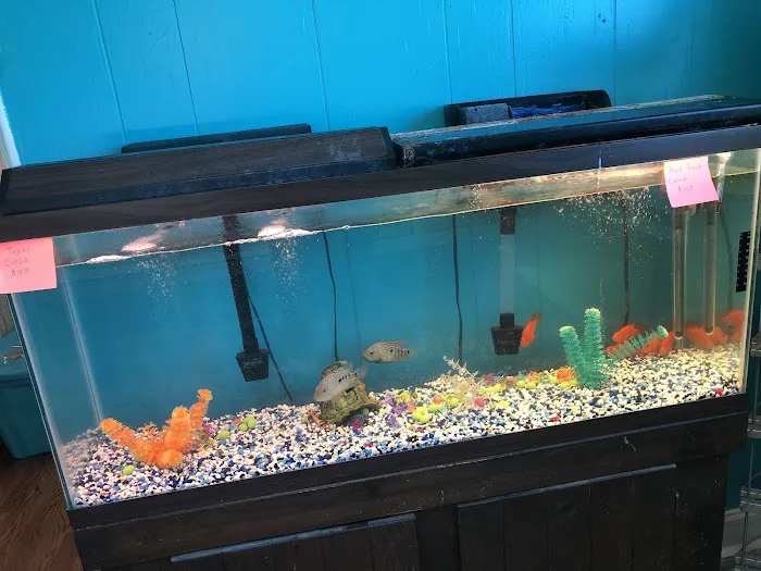 Charmin's Pet Store LLC Picture 7