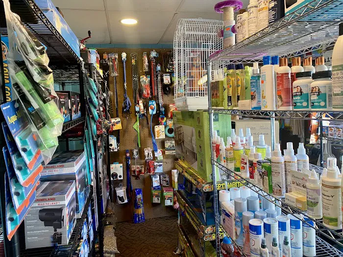Charmin's Pet Store LLC Picture 3