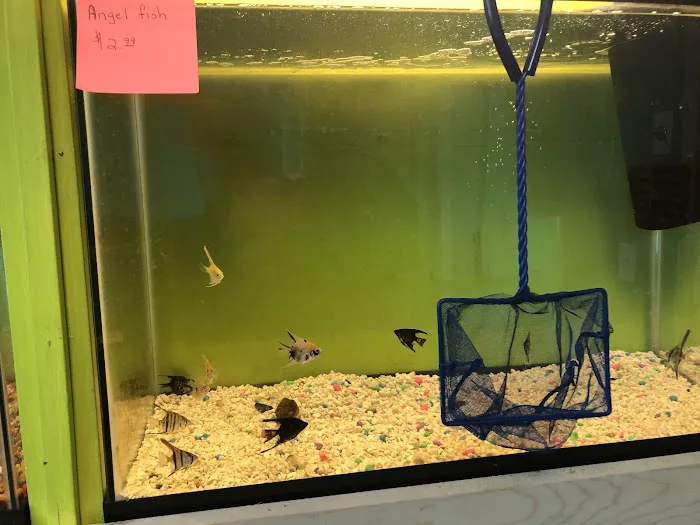 Charmin's Pet Store LLC Picture 5