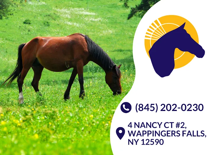 Advanced Equine of the Hudson Valley Picture 8