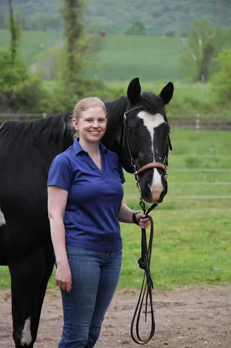 Advanced Equine of the Hudson Valley Picture 4
