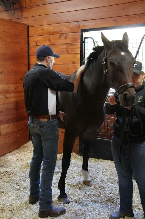Advanced Equine of the Hudson Valley Picture 6