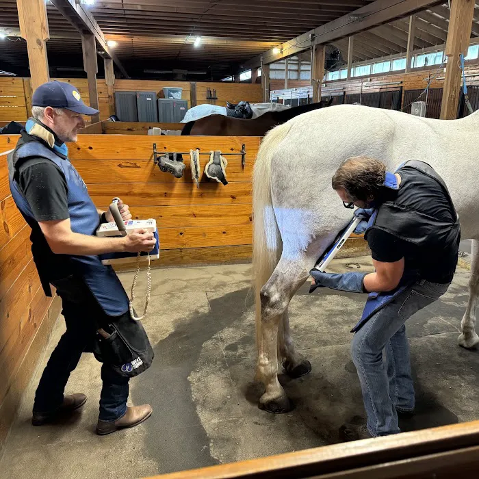 Advanced Equine of the Hudson Valley Picture 1