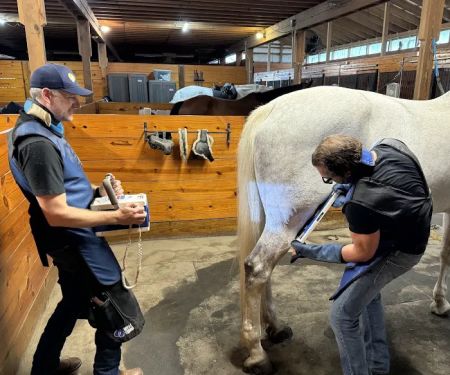 Advanced Equine of the Hudson Valley