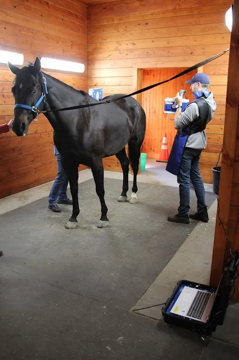 Advanced Equine of the Hudson Valley Picture 5