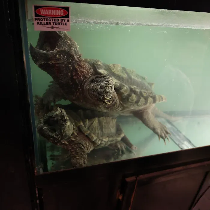 Kernersville Reptile Zoo, Medical Center & Pet Store Picture 1