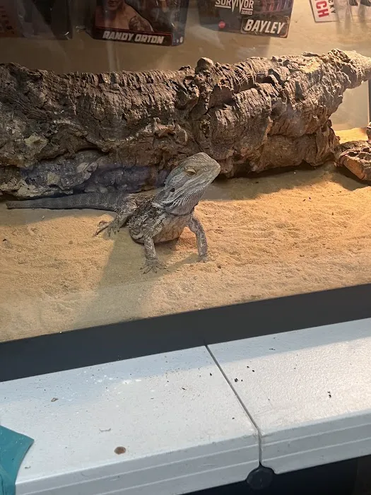Kernersville Reptile Zoo, Medical Center & Pet Store Picture 8