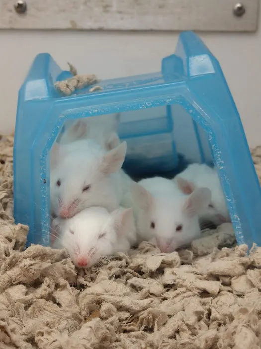 Petco Picture 8