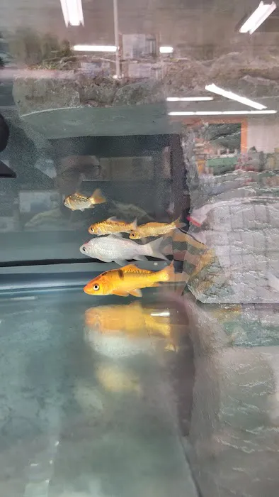 Petco Picture 1