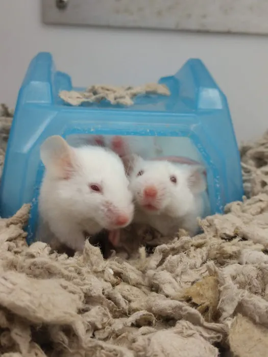 Petco Picture 10