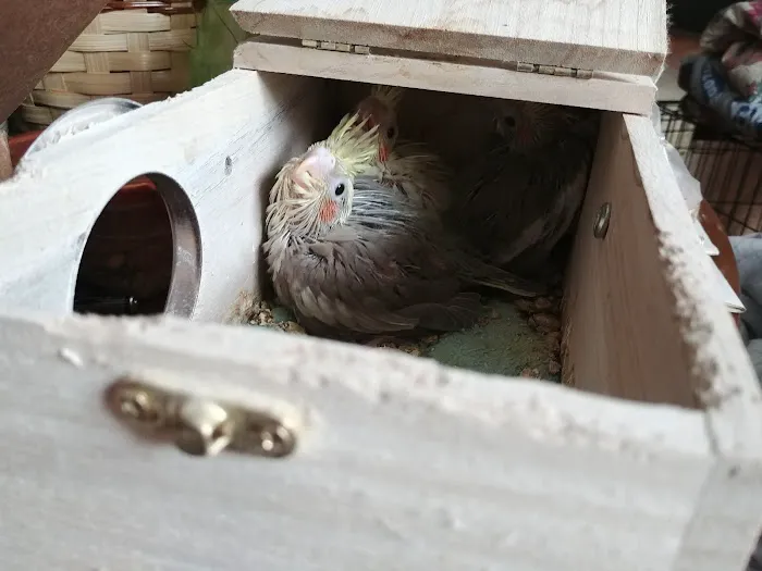 Petco Picture 2