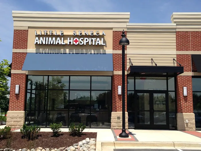 Little Seneca Animal Hospital Picture 1