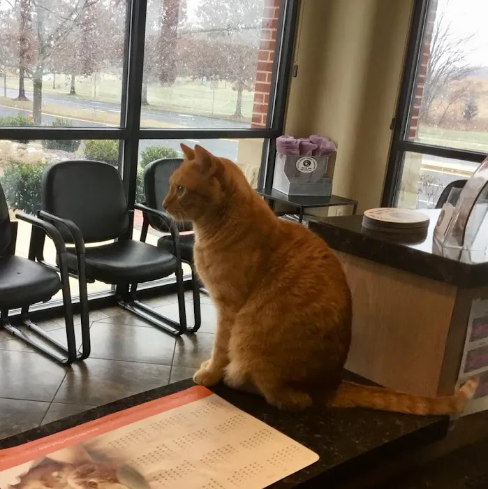 Little Seneca Animal Hospital Picture 4