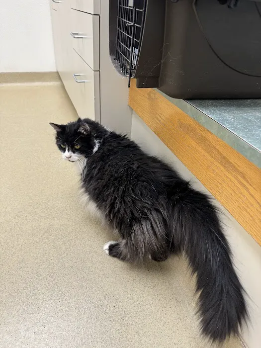 Germantown Veterinary Clinic Picture 7