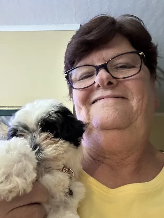 Dream Puppies Pet Store Picture 5