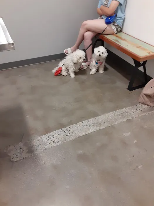 Thrive Pet Healthcare - Germantown Picture 3