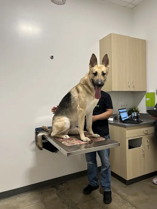Thrive Pet Healthcare - Germantown Picture 9