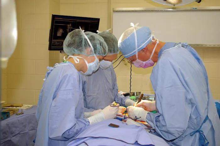 American College of Veterinary Surgeons Picture 1