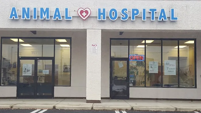 Fox Chapel Animal Hospital Picture 5