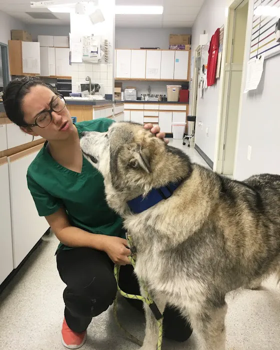 Fox Chapel Animal Hospital Picture 9
