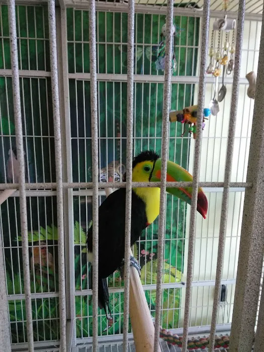 Maw & Paw's Pets Picture 5