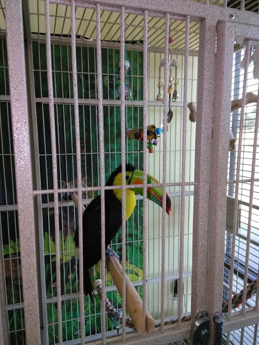 Maw & Paw's Pets Picture 6