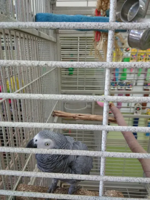 Maw & Paw's Pets Picture 9