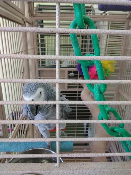 Maw & Paw's Pets Picture 8