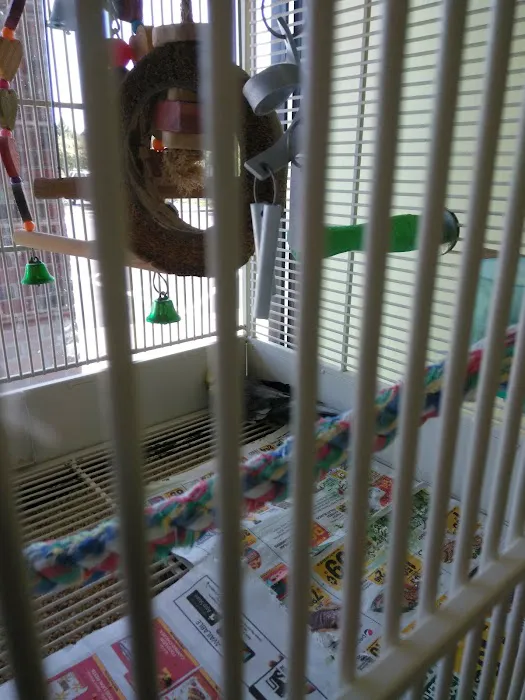 Maw & Paw's Pets Picture 7