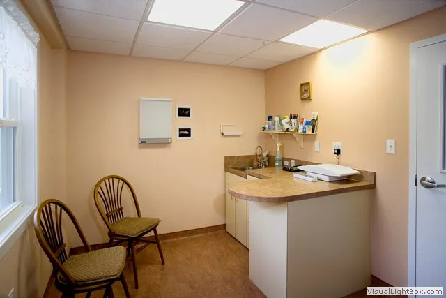 A Cat Clinic Picture 2