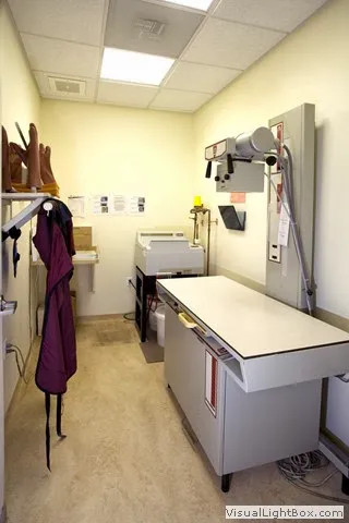 A Cat Clinic Picture 5