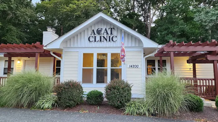 A Cat Clinic Picture 4