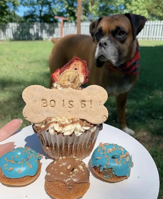 Howlin at the Moon Bakery Picture 3