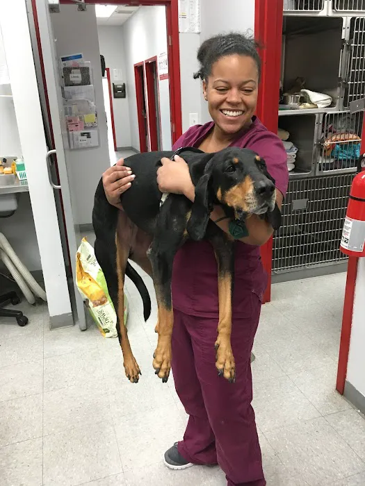 Montgomery Village Animal Hospital Picture 10