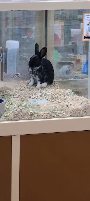 Pet Supermarket Picture 1
