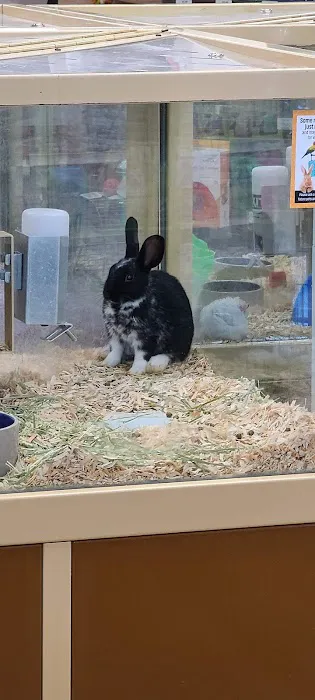 Pet Supermarket Picture 2