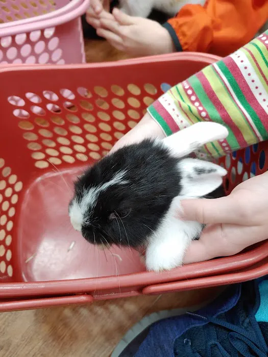 Pet Supermarket Picture 4